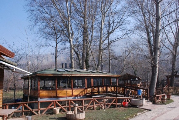 Ağac restoran