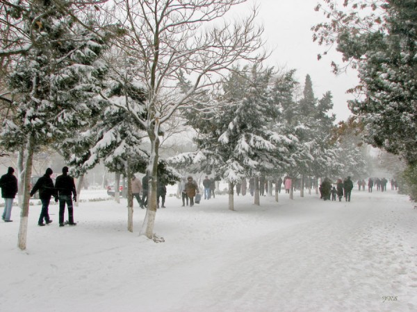 Bakı ağ libas geydi