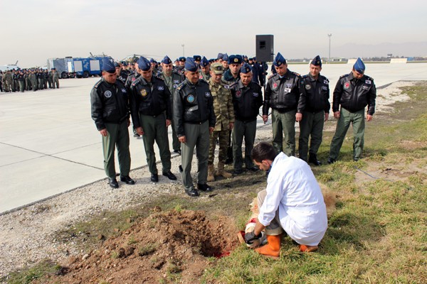 Türkiyə və Azərbaycanın hava şahinlərinə qurban kəsildi