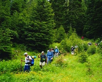 Şimal bölgəsində ekoturizmə dair yeni layihəyə start verilib