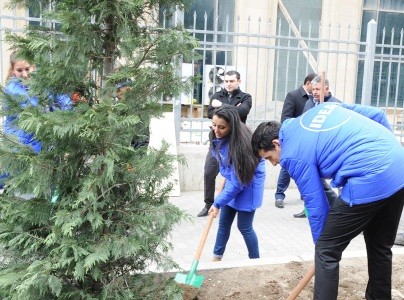 Leyla Əliyevanın təşəbbüsü ilə Bakıda yeni ağaclar əkildi