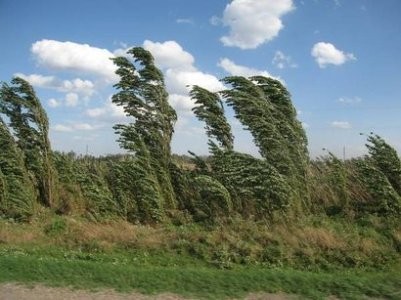 Ekologiya Nazirliyindən meteohəssas insanlara xəbərdarlıq