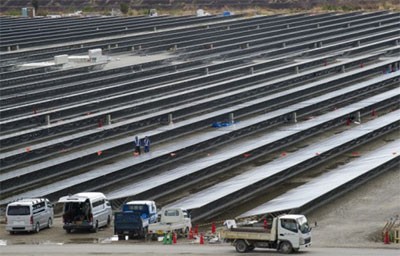 Yaponiyada bambukla işləyən unikal elektrostansiya tikiləcək