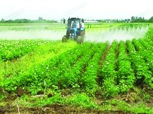 Sahibkarlığa Kömək Milli Fondu layihələrinin qəbuluna başlayır - Daşkəsəndə