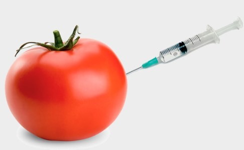 Komitə bazarda GMO-lu malları araşdırır