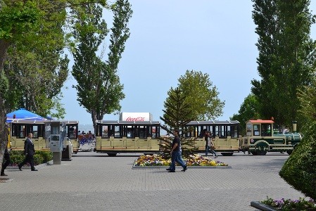 Bakıda əsən güclü şimal küləyi sabahdan mülayimləşəcək