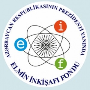 Elmin İnkişafı Fondu beynəlxalq konfrans keçirir