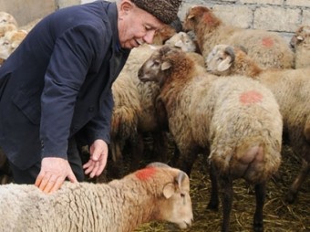 Qurban bayramında bazarlarda reydlər keçiriləcək