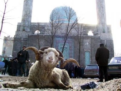 Qurban bayramı ilə bağlı - SELFİ QADAĞASI