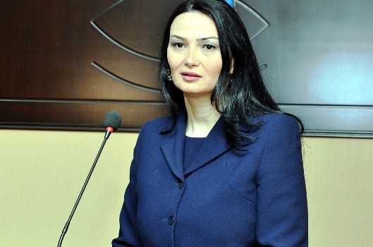 Qənirə Paşayeva Milli Məclisdə yenidən Qarabağ əlillərinin məsələsini qaldırdı