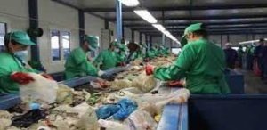 Zibillərin içindən “kupça” və bank kartları çıxdı