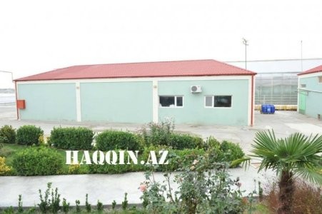 Akif Çovdarovun gizli “həbsxana”sında...