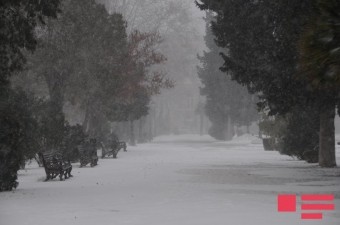 Zaqatala-Balakən bölgəsinə 1 metrdən çox qar yağıb