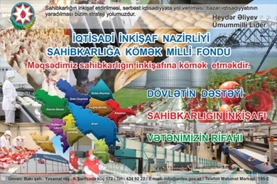 Sahibkarlara 248.5 milyon manat güzəştli kredit verilib