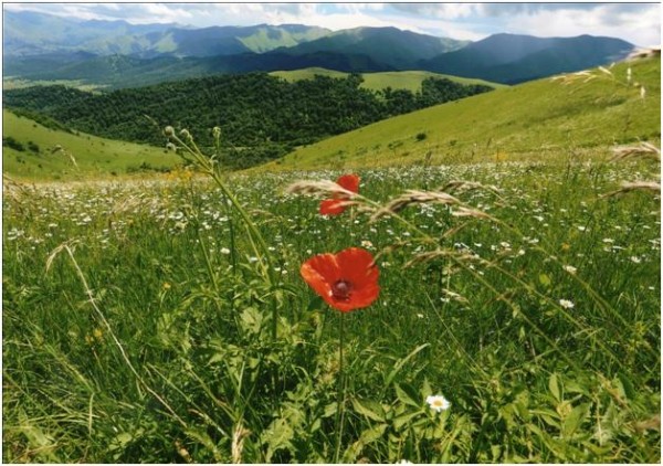 Sabah 26 dərəcə isti olacaq