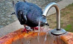30 dərəcə İSTİ