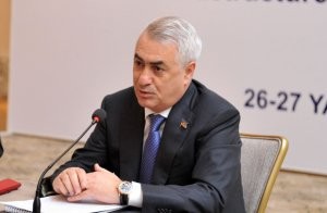 “Erməni diasporu Bakı-Tbilisi-Qars layihəsinə mane olmağa çalışır“