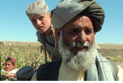 Əfqanıstan: xaşxaş məhsulu bu il bol olacaq - BBC-i xəbər verir