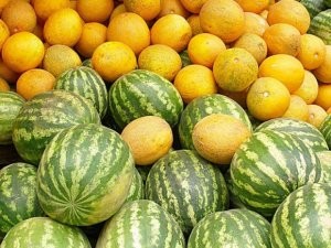 Azərbaycandan Rusiya bazarına qarpız, yemiş daşınır, nazirlik isə tövsiyə verir