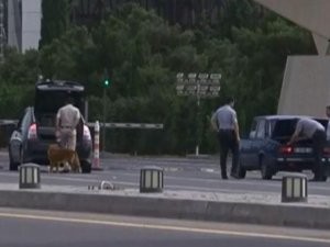 Bakı aeroportuna gedənlər itlərlə yoxlanılır