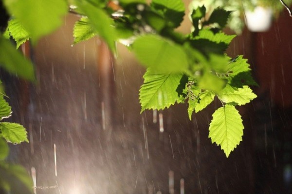 Sabahdan havanın temperaturu aşağı düşəcək, yağış yaşacaq, güclü külək əsəcək -  XƏBƏRDARLIQ