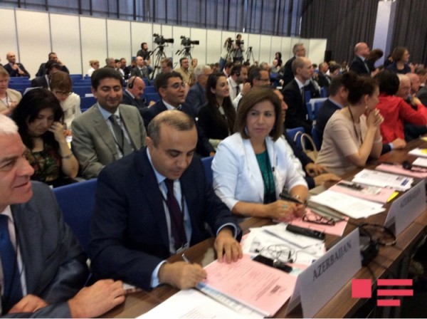 Azay Quliyev ATƏT PA-nın vitse-prezidenti seçildi