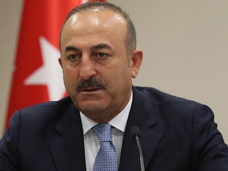 Türkiyə Avstriyadakı səfirini geri çağırır