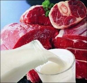 Azərbaycanın daha 4 şirkəti Rusiyaya ət və süd məhsulları ixrac edəcək
