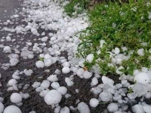 Göygöl və Tərtərdə dolu düşüb