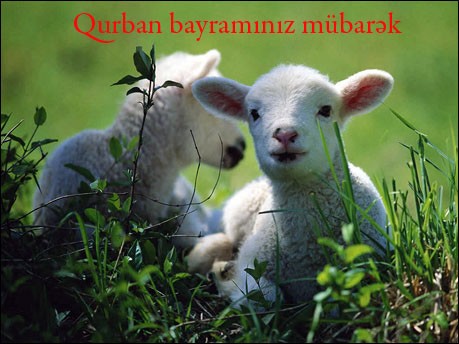 Azərbaycanda Qurban bayramı qeyd olunur