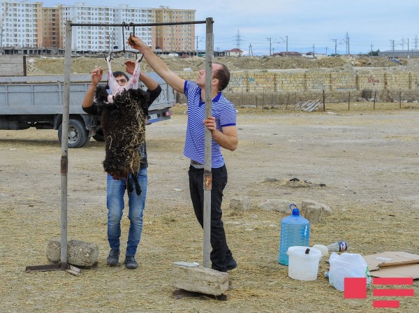 Bakıda qurban kəsilən yerlər dezinfeksiya edilir