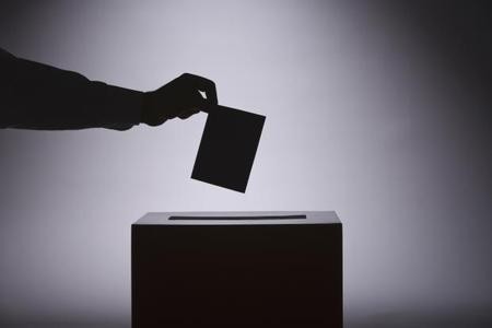 Referenduma “beynəlxalq” baxış