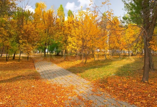 Yağmursuz hava, 27 dərəcə isti – Proqnoz