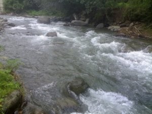 Göyçay çayı məcrasını dəyişdi
