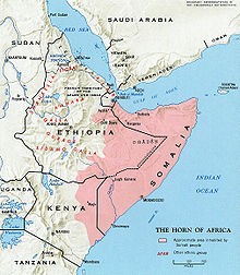 İŞİD Somalidə qəsəbəni ələ keçirib