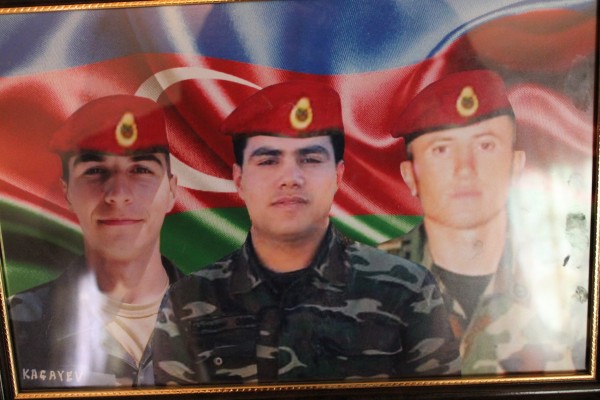“İnək saxlamaq üçün ingilis-rus dilini bilməlisən” - Rəsmi qurum şəhid atalarını şoka saldı