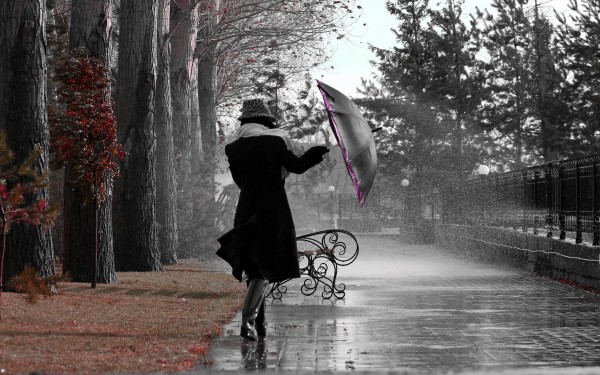 Milli Hidrometeorologiya Departamenti məlumat yaydı