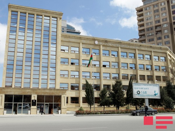 “Bəzi restoranlar ayı adı ilə naməlum heyvan əti satırlar“ - ETSN