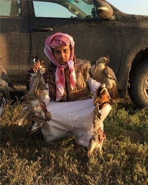 Zəngin ərəblərin Azərbaycanda yeni ov kefi - FOTOLAR