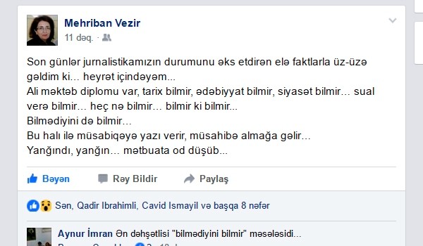 “Yanğındı, yanğın… mətbuata od düşüb...” – Mehriban Vəzir həyəcan təbili çaldı