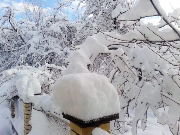 Rayonlarda qar yağacaq, Bakıda temperatur enəcək