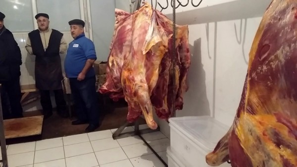 “Təzə bazar”dan götürülmüş ətlərdə bakterioloji çirklənmə aşkarlandı