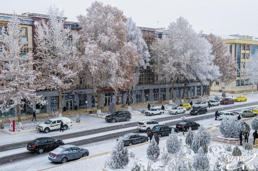 Naxçıvan QARA BÜRÜNDÜ