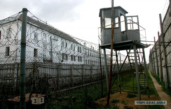 Penitensiar müəssisələrdə 140 məhkum və ya həbs olunmuş şəxs ölüb