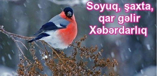 Sabahdan hava dəyişəcək: sulu qar, qar yağacaq