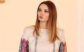 Millət vəkili Q.Paşayeva MM-də bələdiyyələrin fəaliyyətindəki problemlərdən danışıb