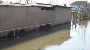 Cəlilabadda qrunt suları problemlər yaradıb