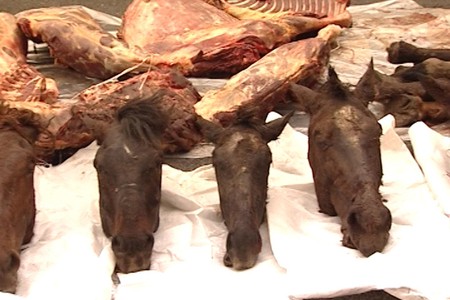 Kürdəmirdə 150 kilo at əti aşkarlandı