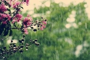 Sabah bəzi yerlərdə yağış, dağlıq rayonlarda qar yağacaq