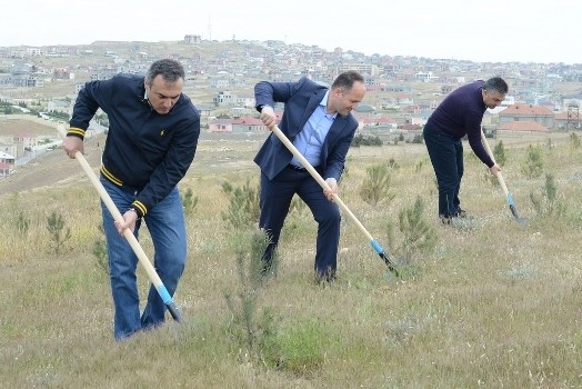 UNEC-də yaşıl marafon
